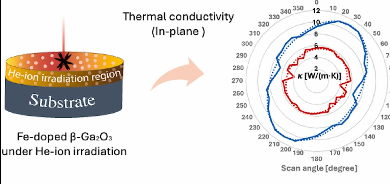 Thermal Conductivity under Irradiation